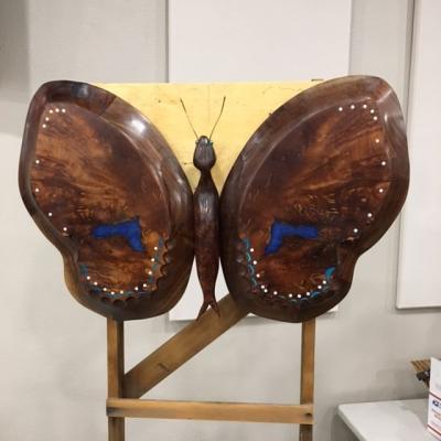 JoeVonArx_ButterflyCabinetPresentation_2