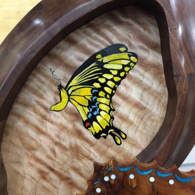 JoeVonArx_ButterflyCabinetPresentation_4
